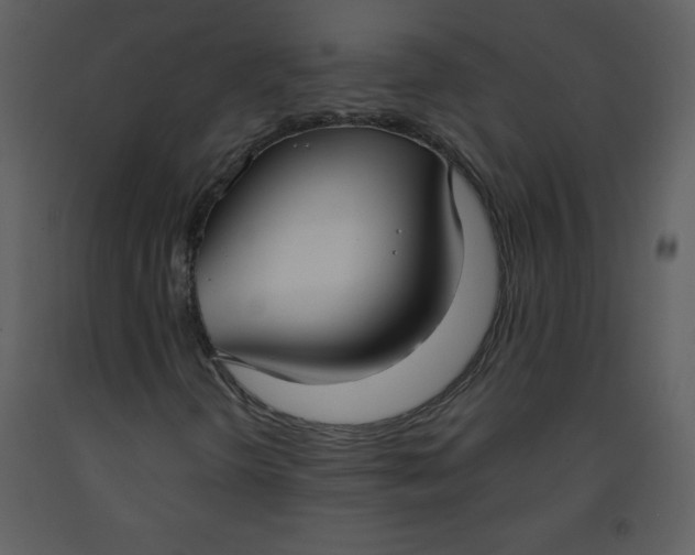 X0000093251298200710171416