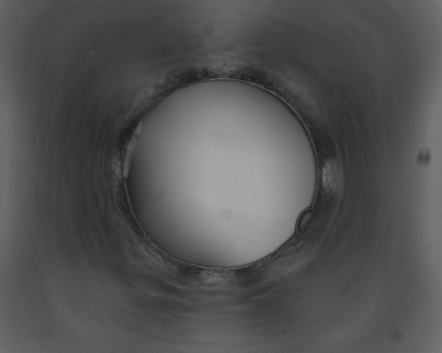 X0000093251299200710171416