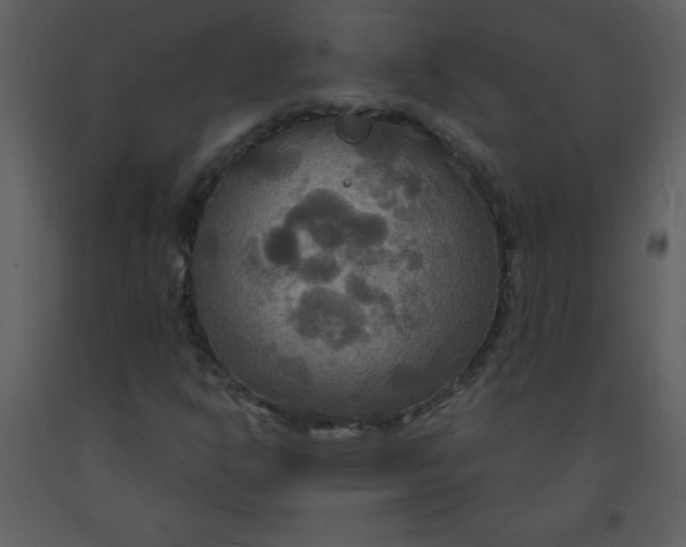 X0000093251302200710171416