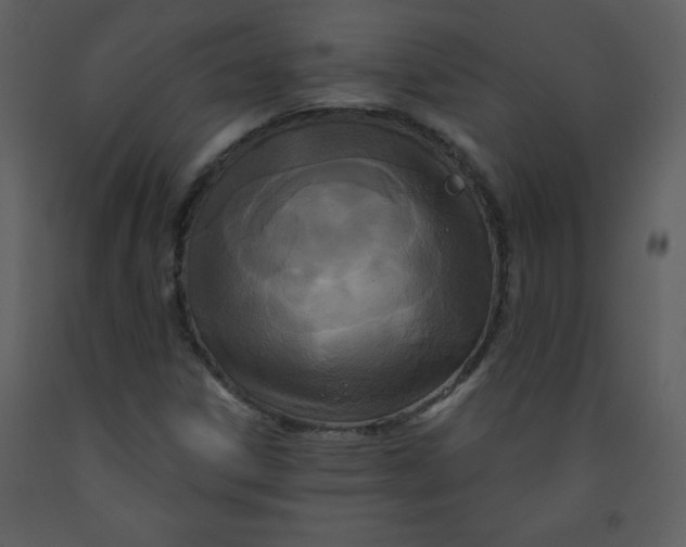 X0000093251306200710171416