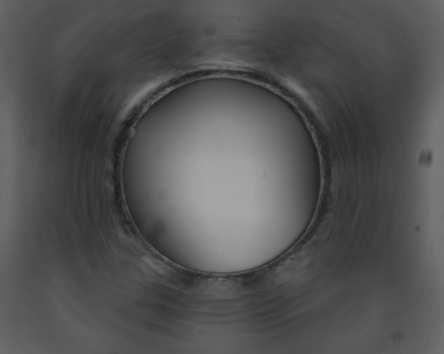 X0000093251307200710171416