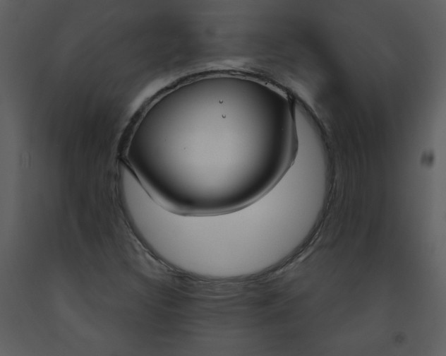 X0000093251308200710171416