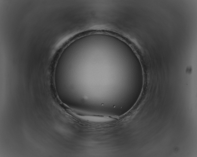 X0000093251311200710171416