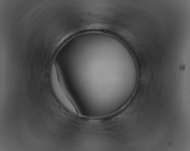 X0000093251313200710171416