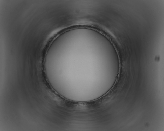 X0000093251315200710171416