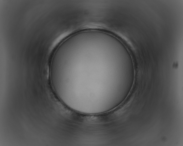 X0000093251317200710171416