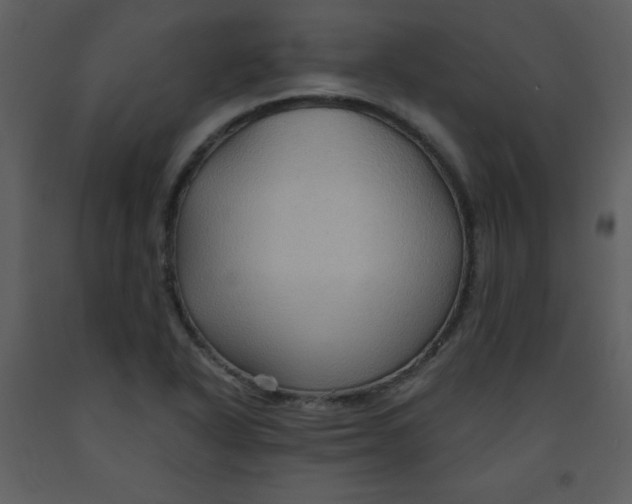 X0000093251318200710171416