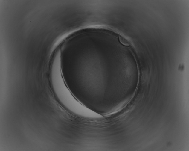 X0000093251319200710171416