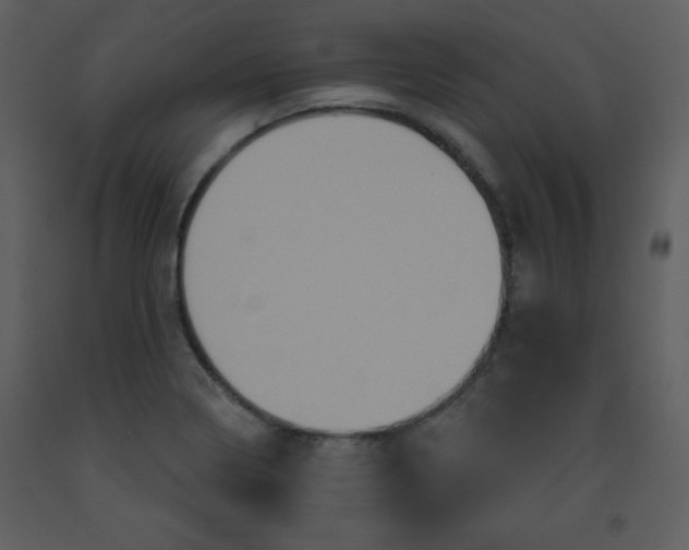 X0000093251322200710171416