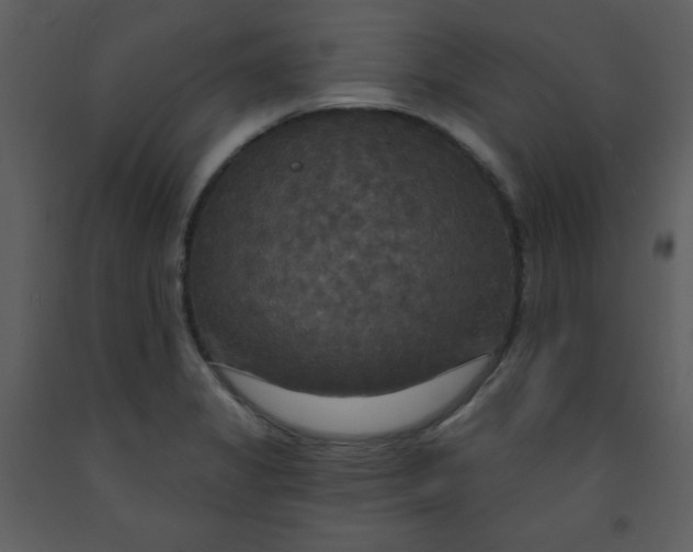 X0000093251325200710171416