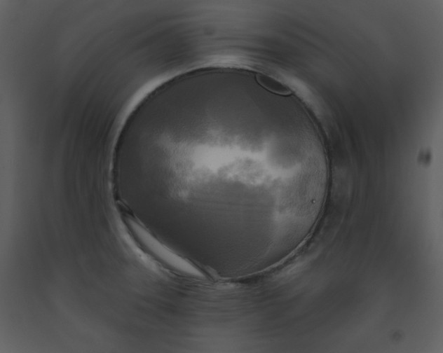 X0000093251331200710171416