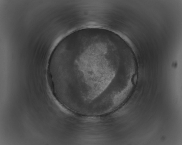 X0000093251333200710171416