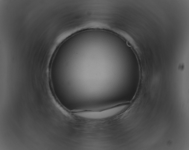 X0000093251335200710171416