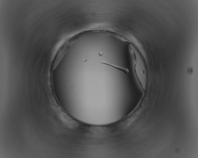 X0000093251336200710171416