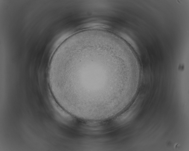 X0000093251338200710171416