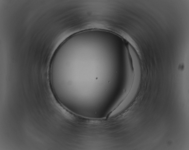 X0000093251339200710171416