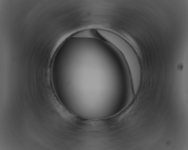 X0000093251340200710171416