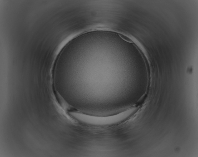 X0000093251341200710171416