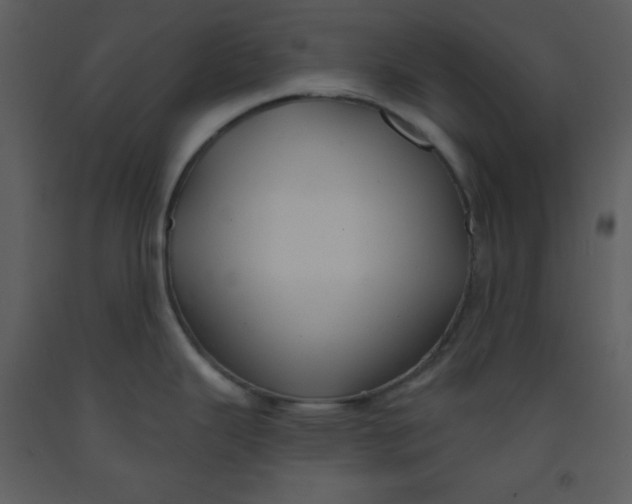 X0000093251343200710171416