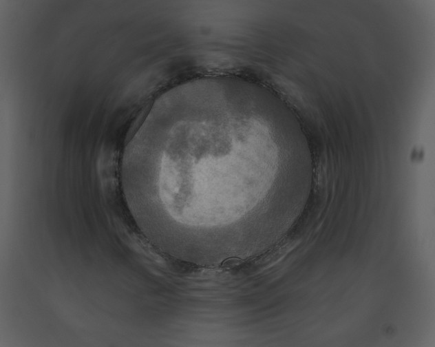 X0000093251346200710171416