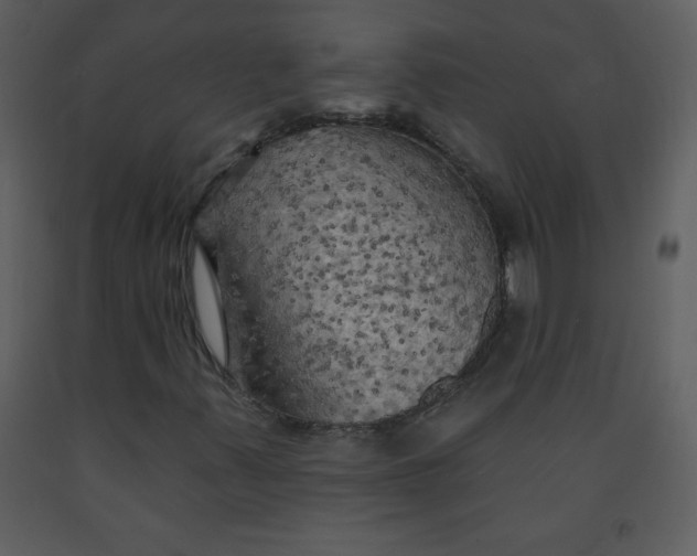 X0000093251347200710171416