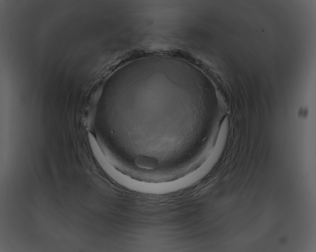 X0000093251348200710171416