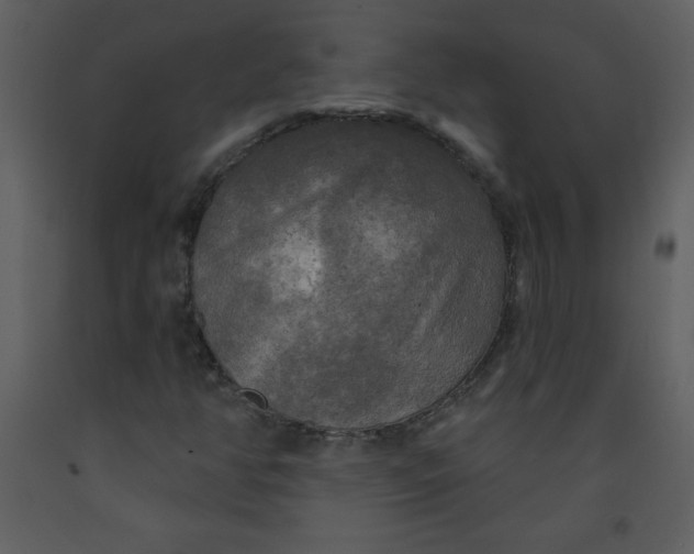 X0000093251350200710171416