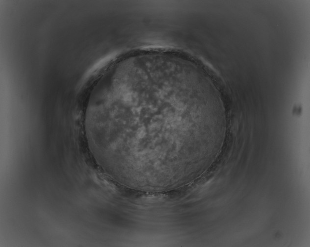 X0000093251351200710171416