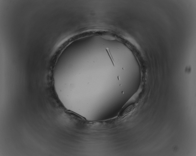 X0000093251352200710171415