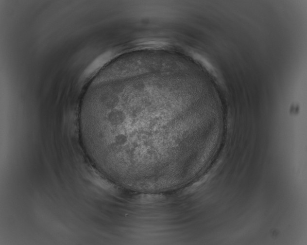 X0000093251354200710171415