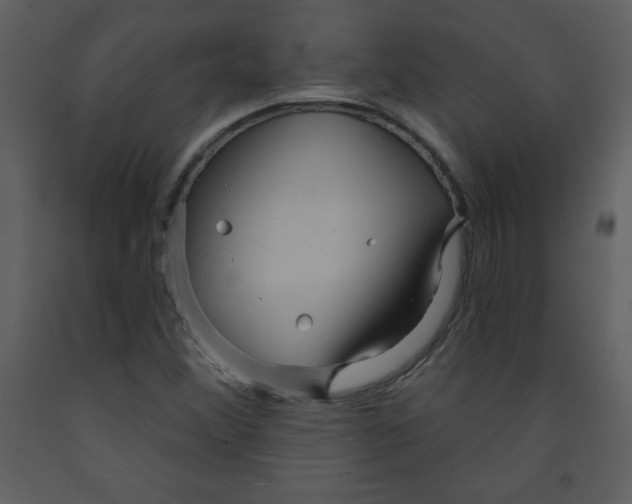 X0000093251356200710171415