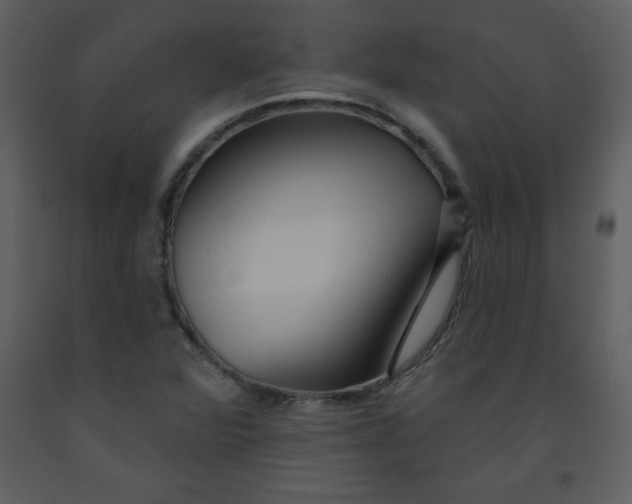 X0000093251360200710171415