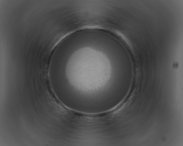 X0000093251361200710171415