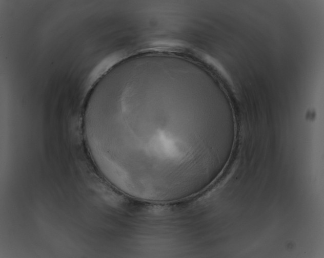 X0000093251362200710171415