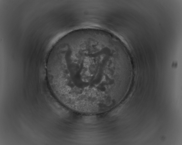 X0000093251363200710171415