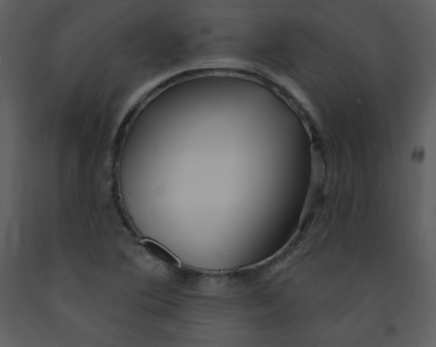 X0000093251364200710171415