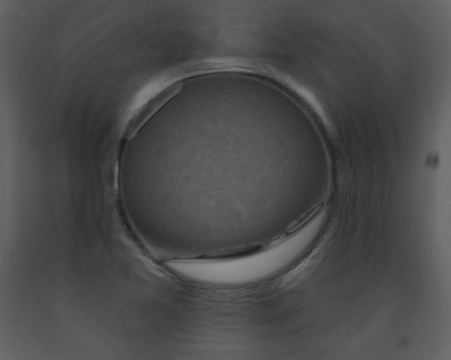 X0000093251365200710171415