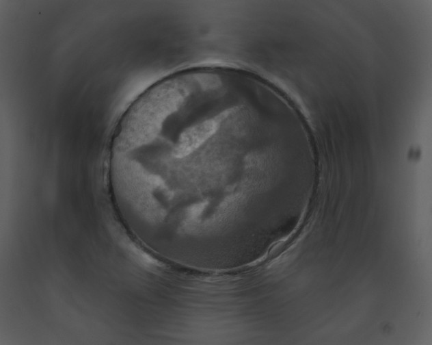 X0000093251367200710171415