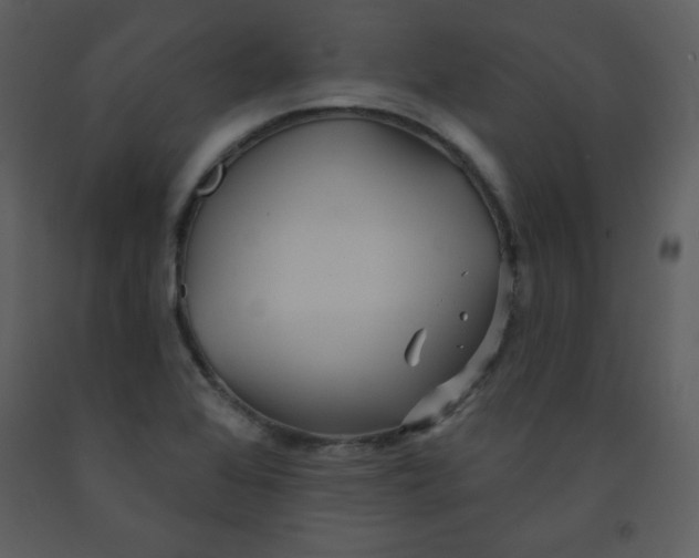 X0000093251368200710171415