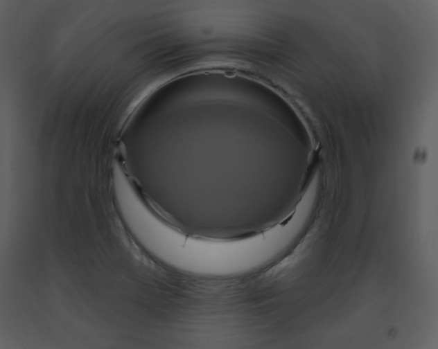 X0000093251369200710171415