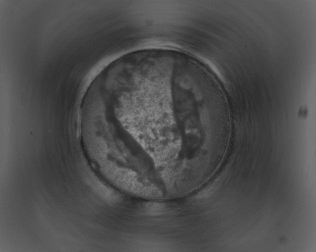 X0000093251371200710171415