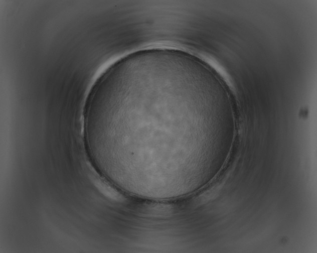 X0000093251372200710171415