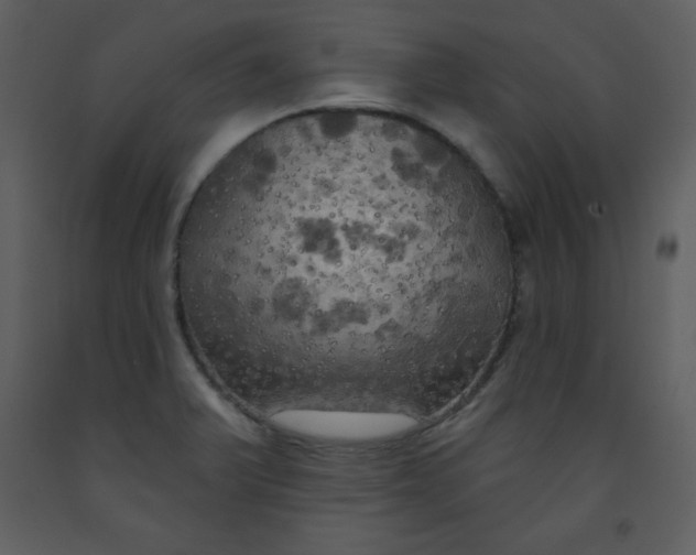 X0000093251375200710171415