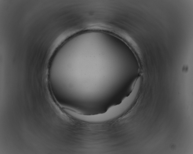 X0000093251376200710171415