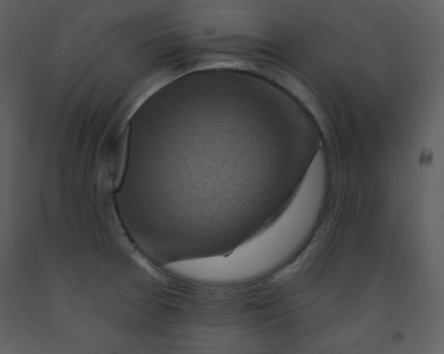 X0000093251377200710171415