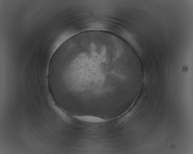 X0000093251378200710171415