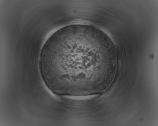 X0000093251379200710171415