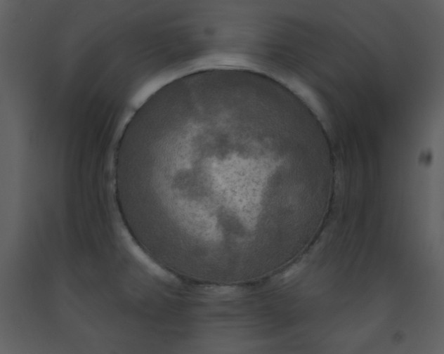 X0000093251382200710171415