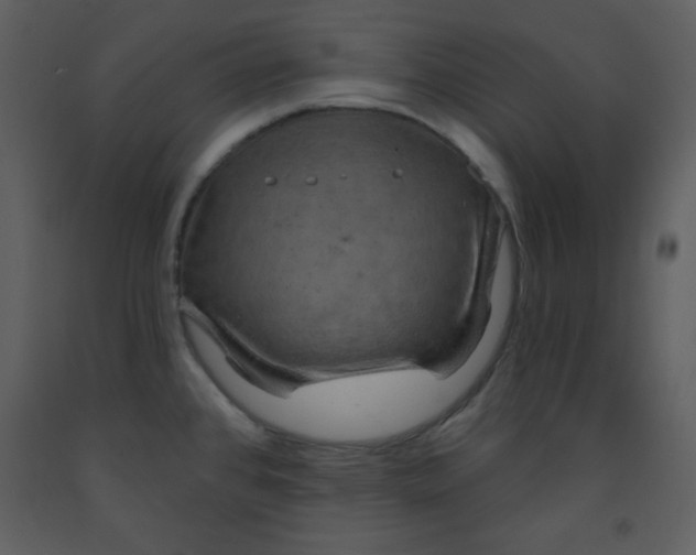 X0000093251384200710171415