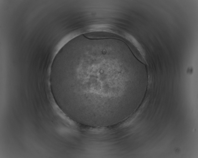 X0000093251386200710171415